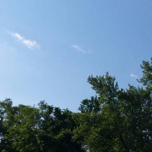 国产熟女高潮一区二区三区
